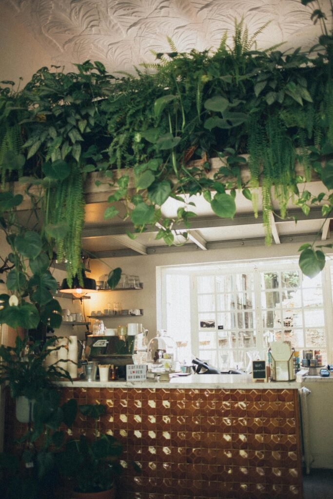 Charming cafe interior with lush green plants and warm natural light, creating a serene atmosphere.